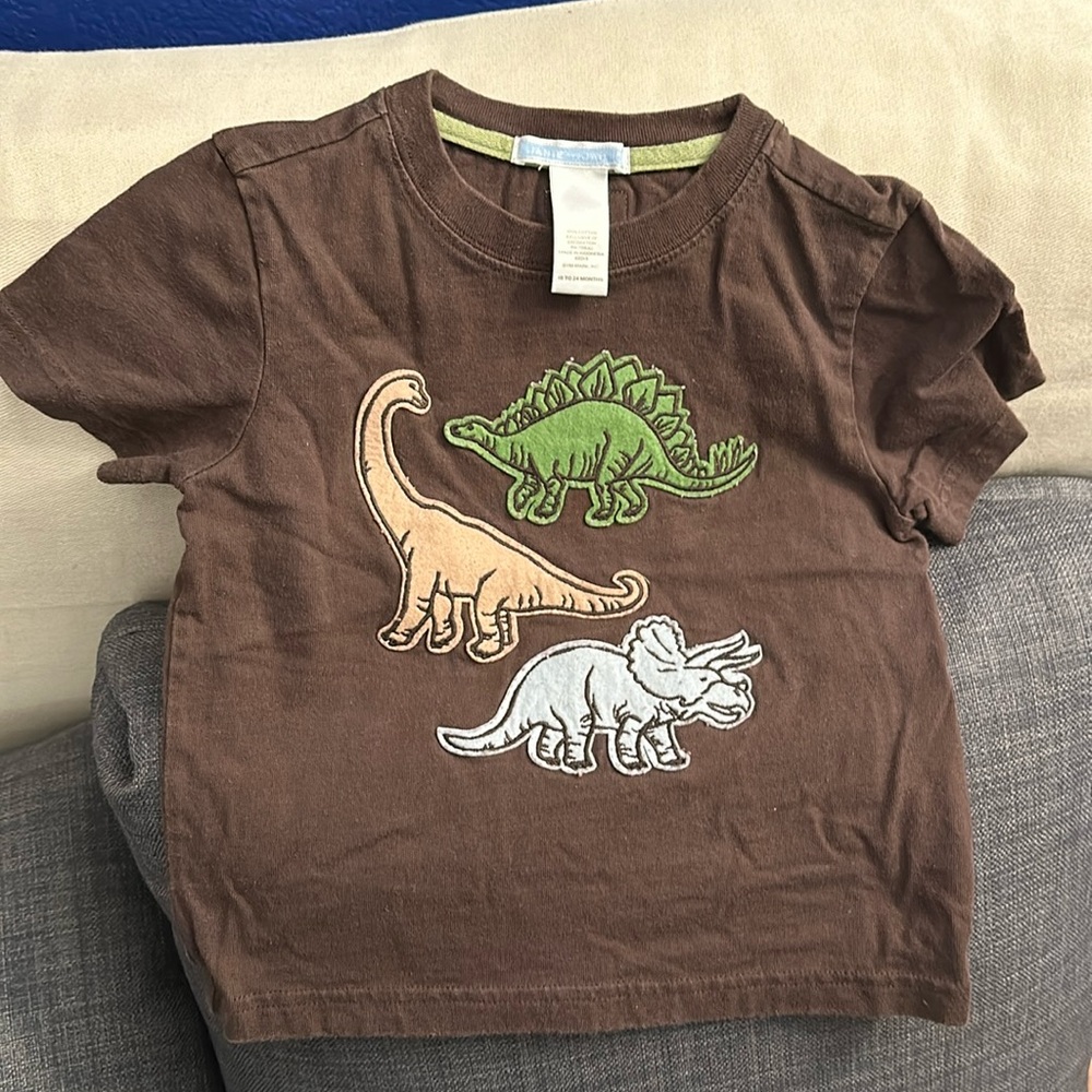 Janie and Jack dinosaur shirt used